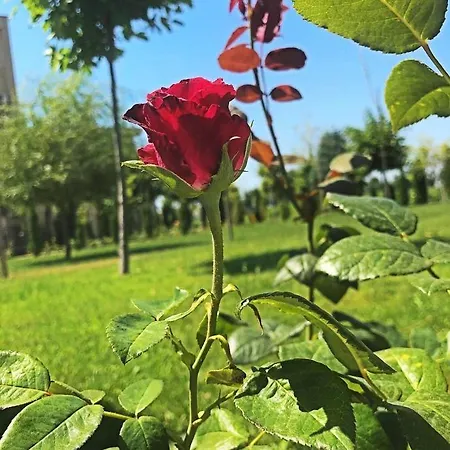 студиа Sunny Noks Appartement *